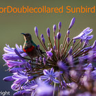 Spring is here ....at last!!!